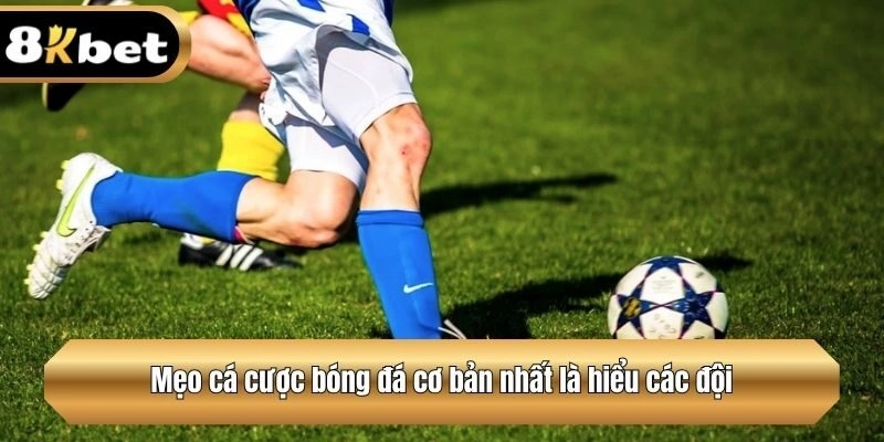 Mẹo cá cược bóng đá cơ bản nhất là hiểu các đội